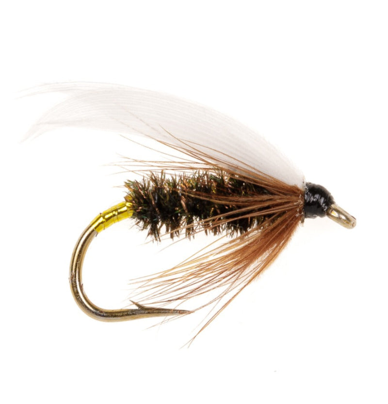 WET WINGED FLY COACHMAN
