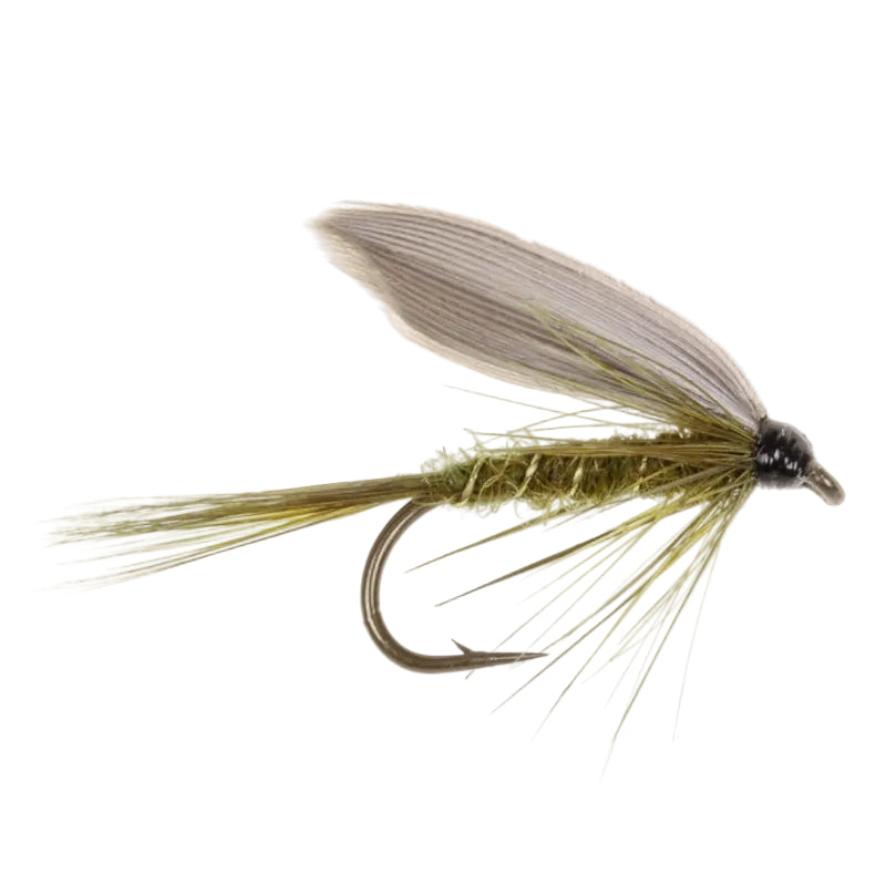 WET WINGED FLY DARK OLIVE DUN