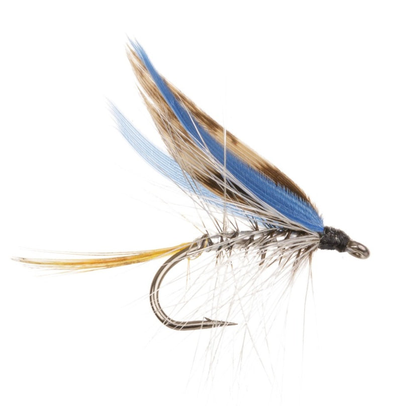 WET WINGED FLY HASLEM