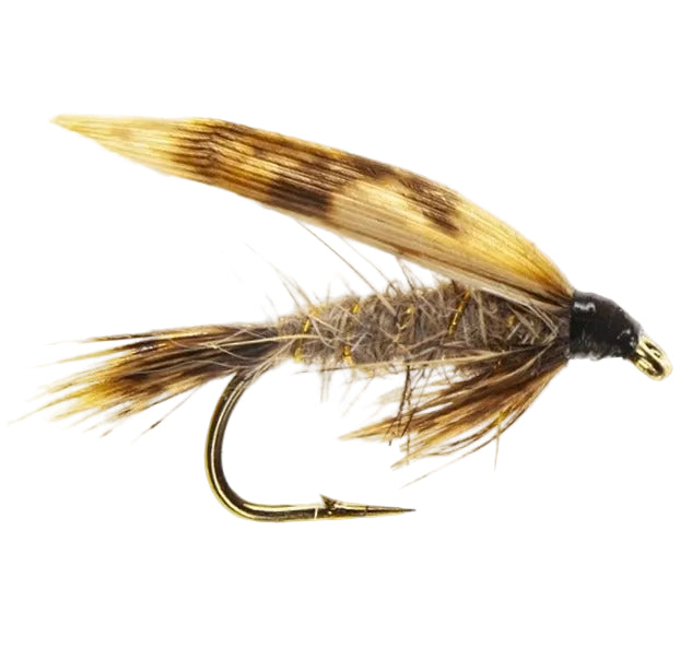 WET WINGED FLY MARCH BROWN