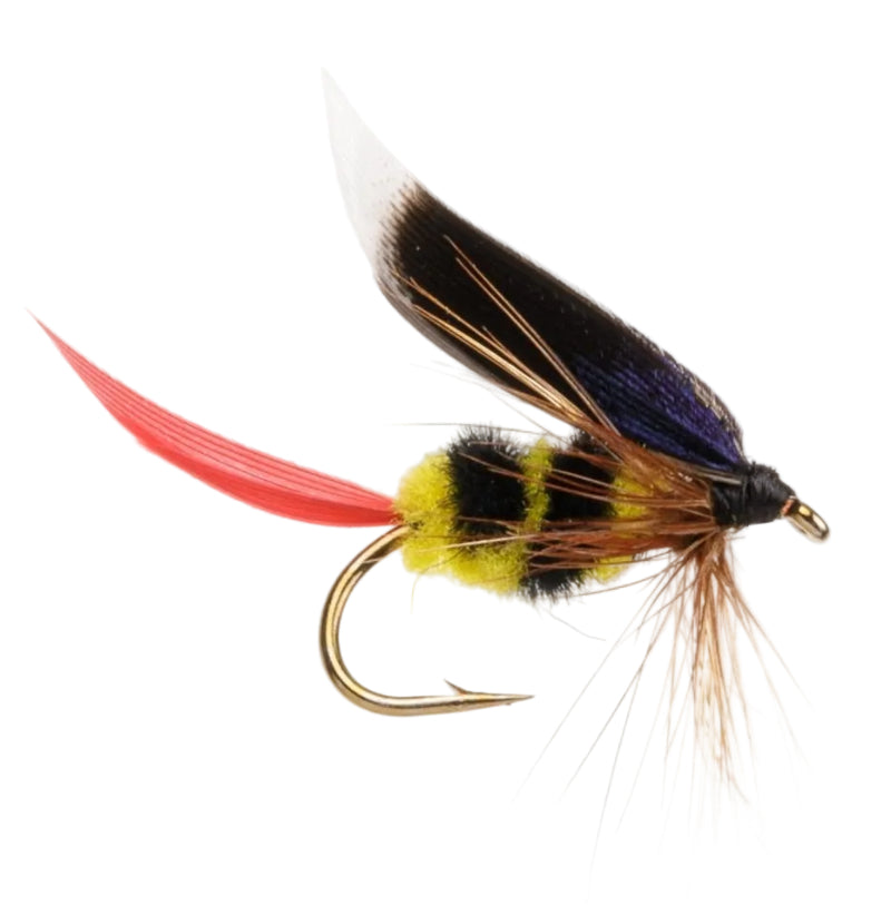WET WINGED FLY MCGINTY