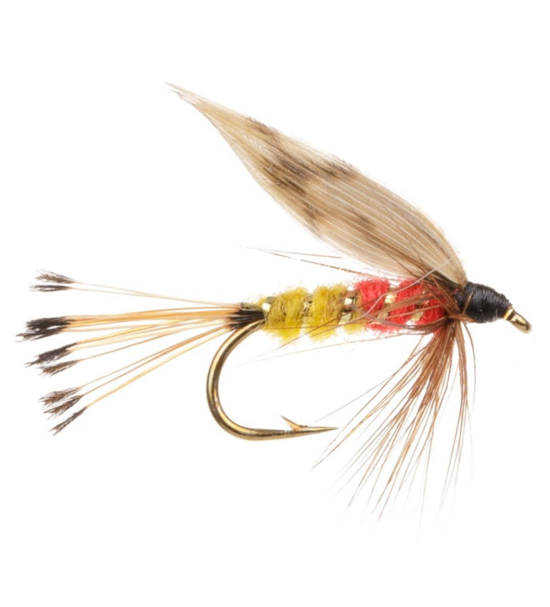 WET WINGED FLY WOODCOCK & MIXED