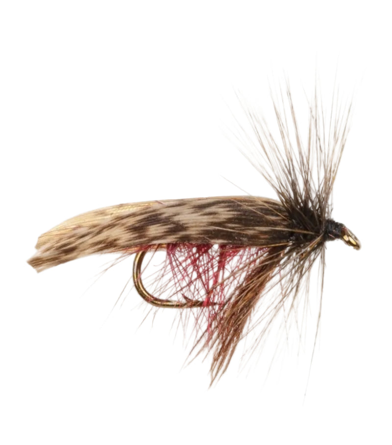 WET WINGED FLY MURROUGH