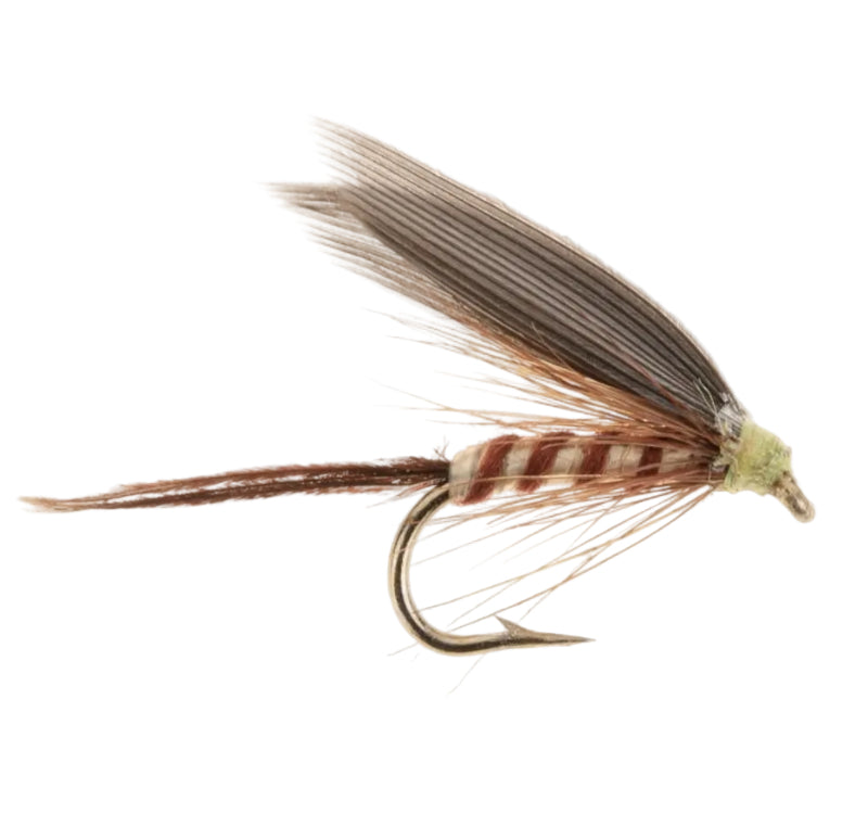 WET WINGED FLY VERREMINKEN