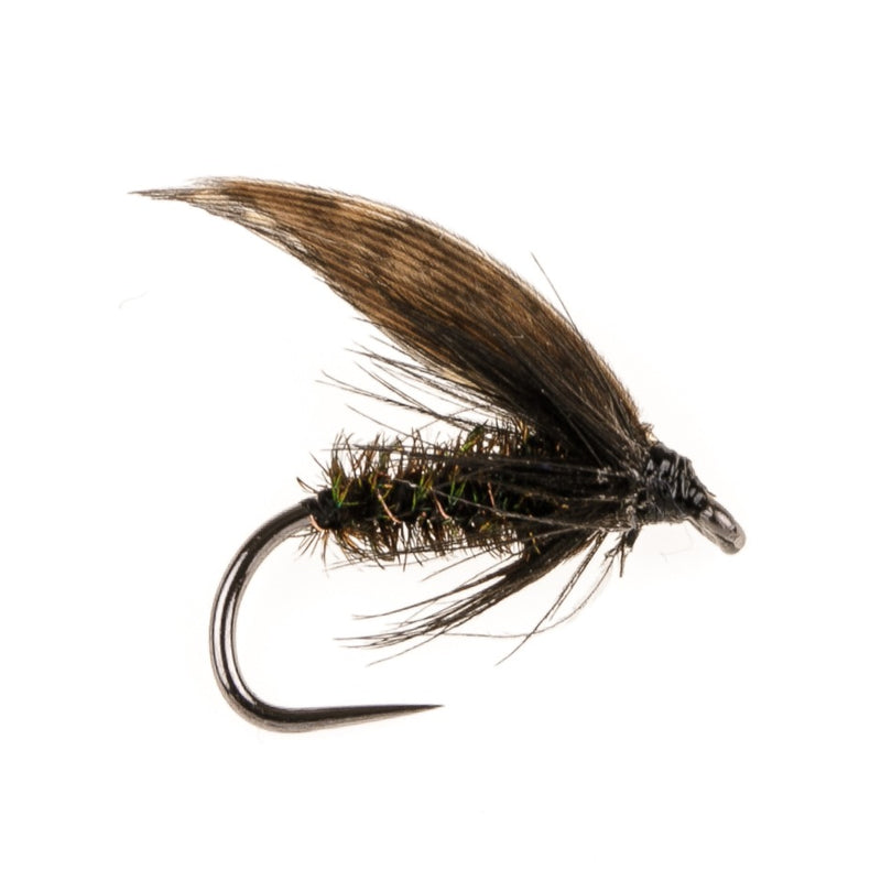 WET WINGED BARBLESS FLY ALDER