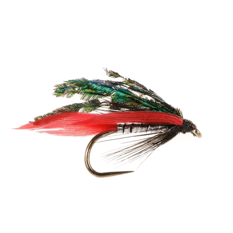 WET WINGED BARBLESS FLY ALEXANDRA