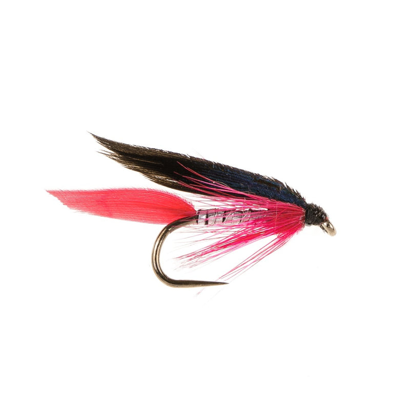 WET WINGED BARBLESS FLY BLOODY BUTCHER