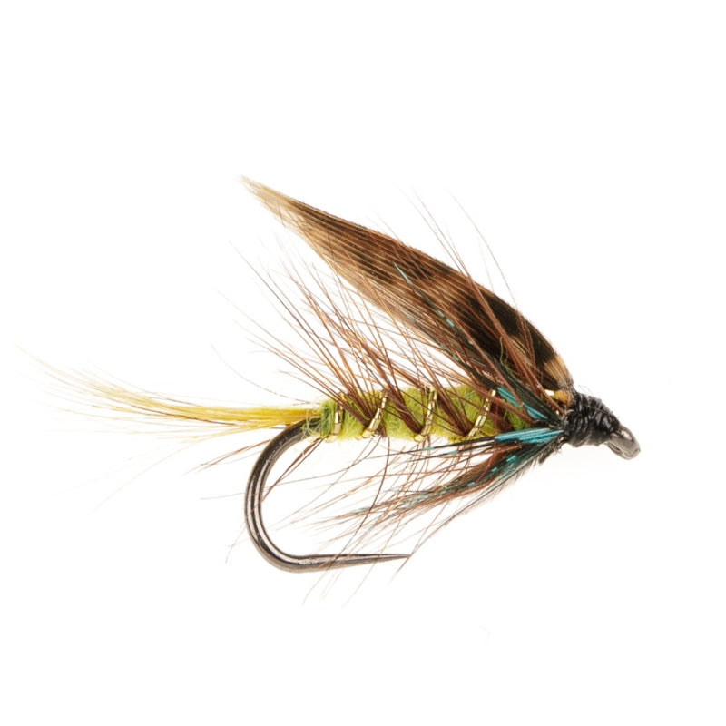 WET WINGED BARBLESS FLY INVICTA