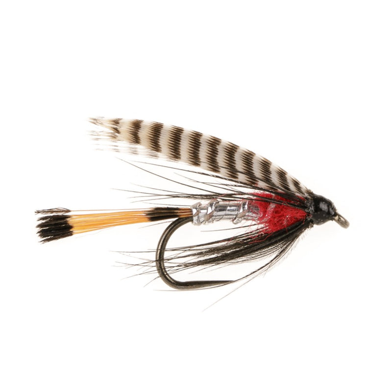 WET WINGED BARBLESS FLY PETER ROSS