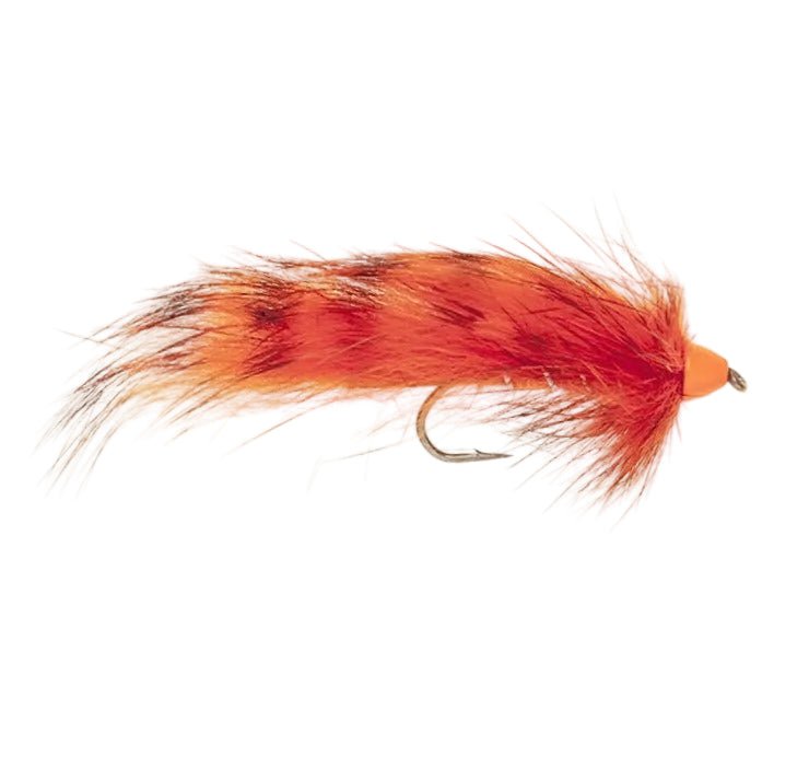 ZONKER FLY CONEHEAD ORANGE TIGER