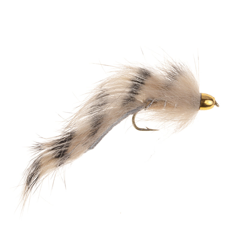 ZONKER FLY CONEHEAD BLACK TIGER