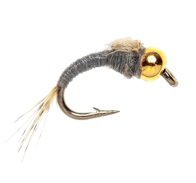 BEADHEAD FLY MICRO BH WD40 GREY
