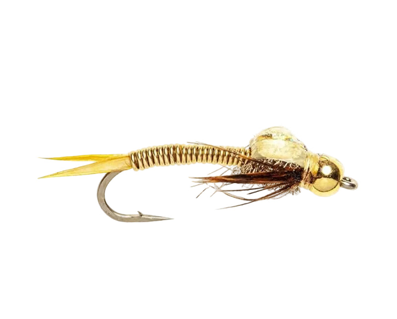 BEADHEAD FLY COPPER CAT NYMPH GOLD BH