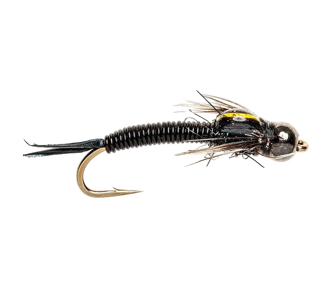BEADHEAD FLY COPPER CAT NYMPH BLACK BH