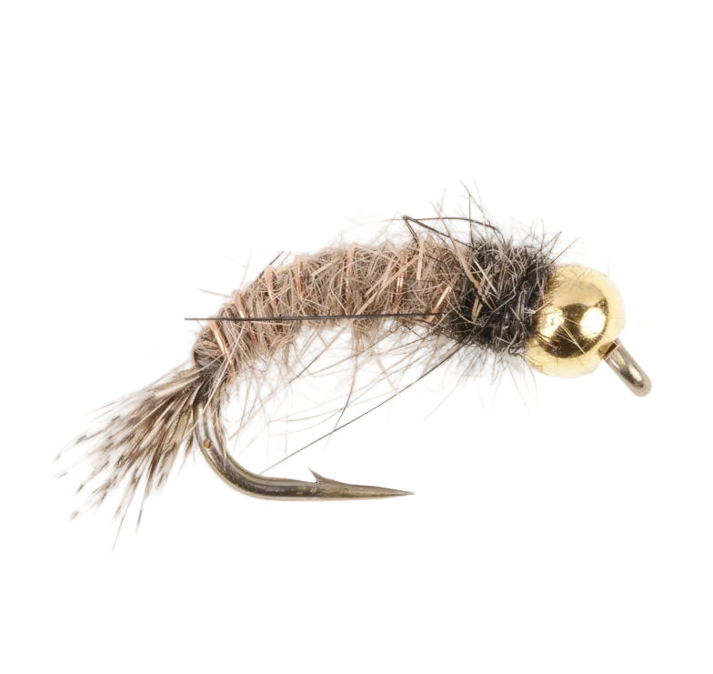 BEADHEAD FLY GOLDEN FLASHBACK BH