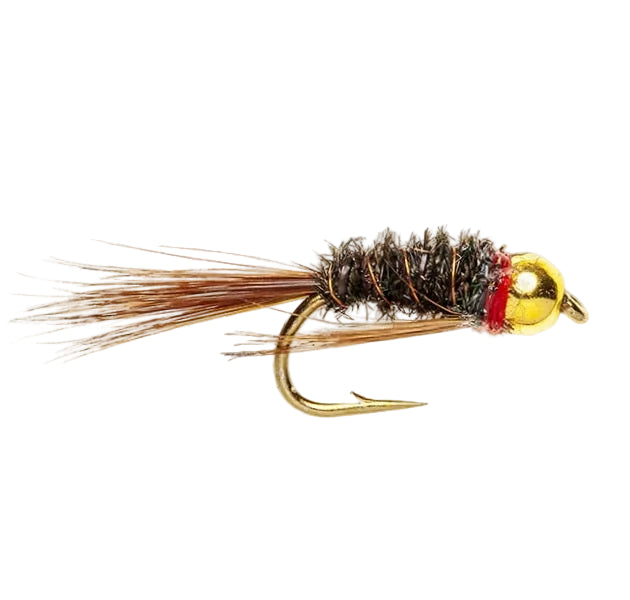BEADHEAD FLY DIAWL BACH BH