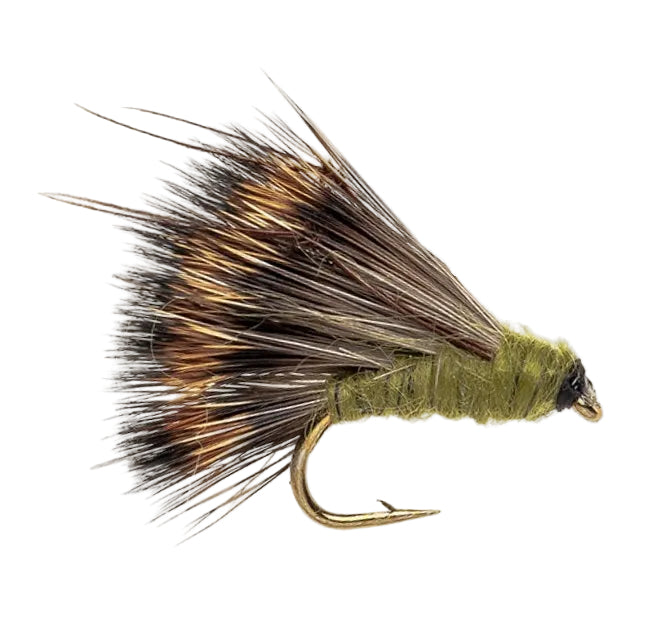 CADDIS/SEDGE FLY SEDGE HOG OLIVE