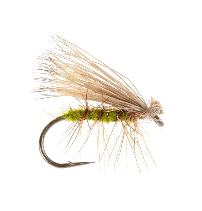 CADDIS/SEDGE FLY OLIVE ELK HAIR EMERGER