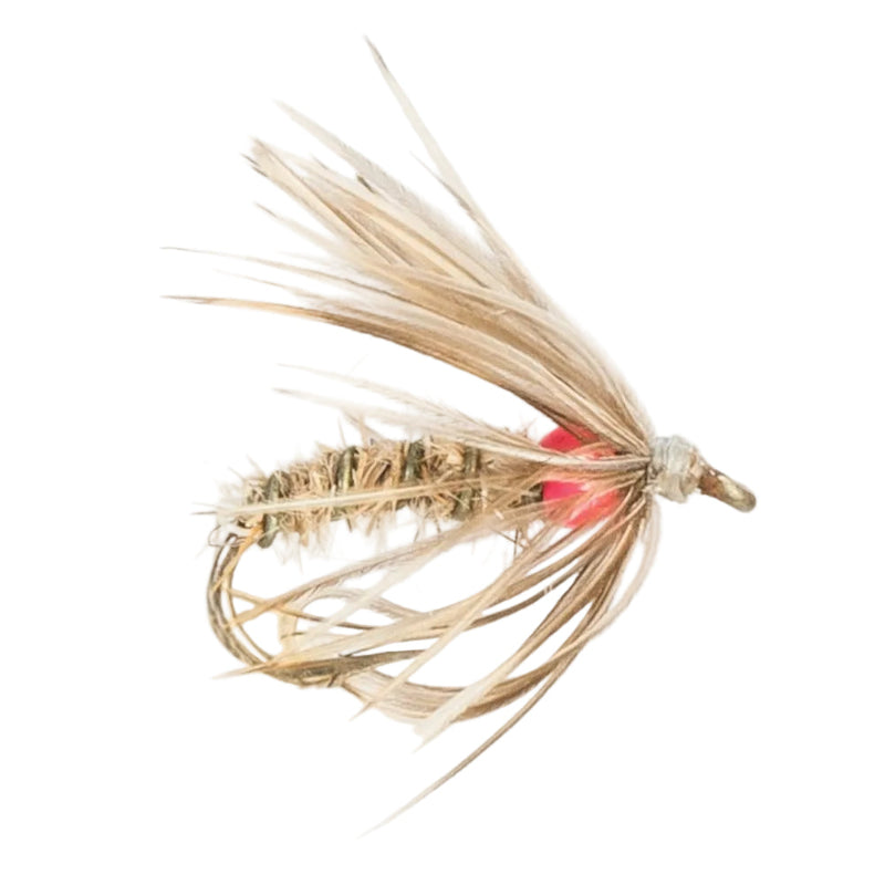 COARSE FLY DACE ACE
