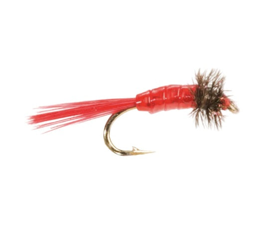 COARSE FLY BLOODWORM MICRO