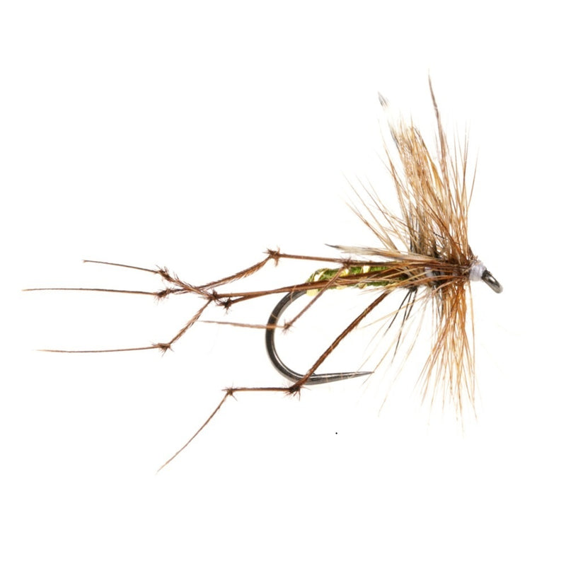 DADDY LONG LEGS FLY DADDY LONG LEGS OLIVE