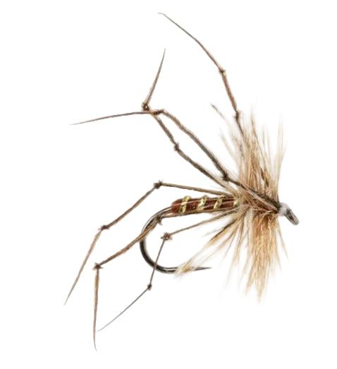 DADDY LONG LEGS FLY DADDY LONG LEGS BROWN