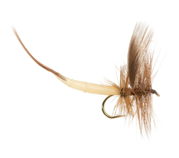 MAYFLY DETACHED FLY BROWN DRAKE