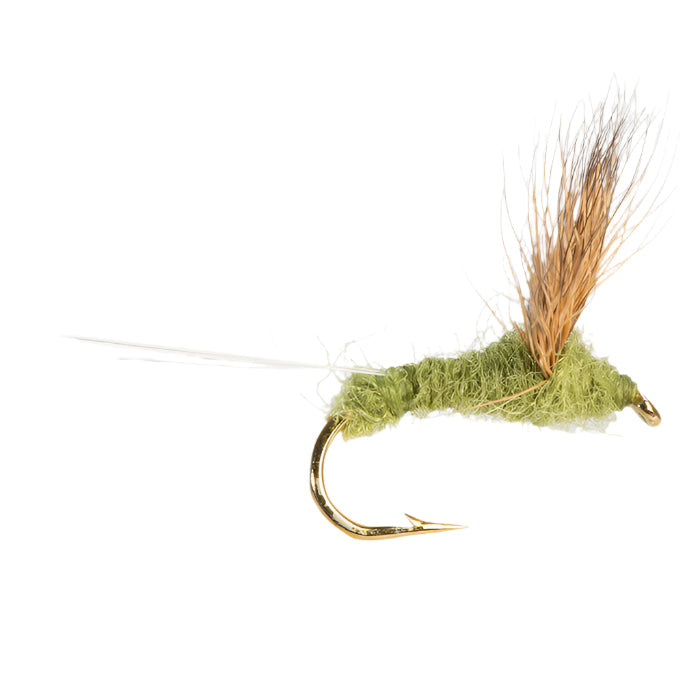 DRY WINGED FLY COMPARADUN-OLIVE