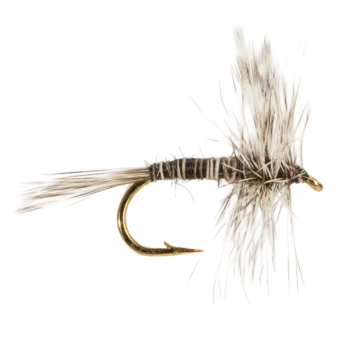 DRY WINGED FLY MOSQUITO