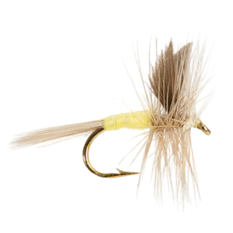 DRY WINGED FLY PALE EVENING DUN
