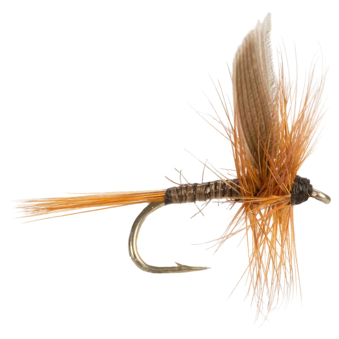 DRY WINGED FLY RED QUILL
