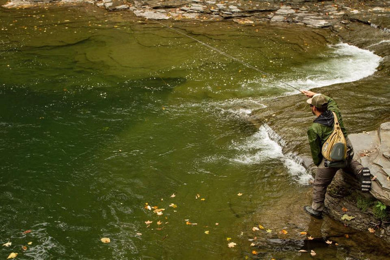 CORTLAND EURO NYMPH BRAID CORE FLOATING FLY LINE