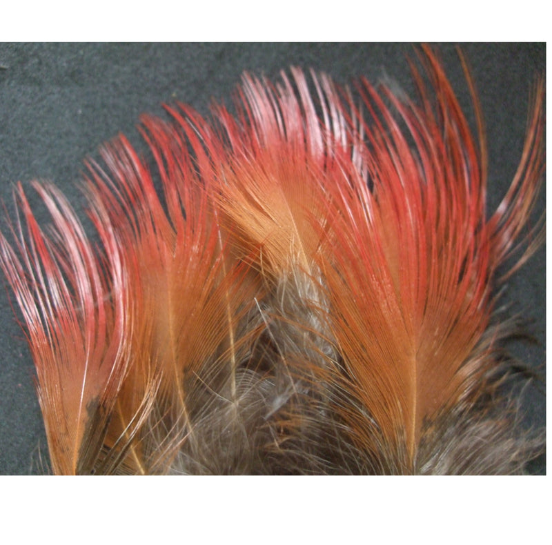 GOLDEN PHEASANT HACKLES FLY TYING FEATHERS