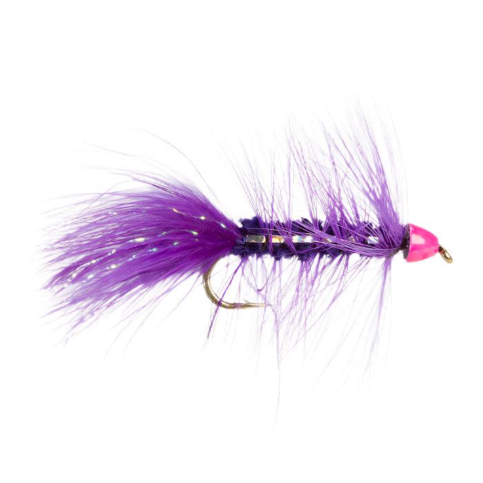 SALMON TUNGSTEN LEECH FLY PURPLE CONEHEAD