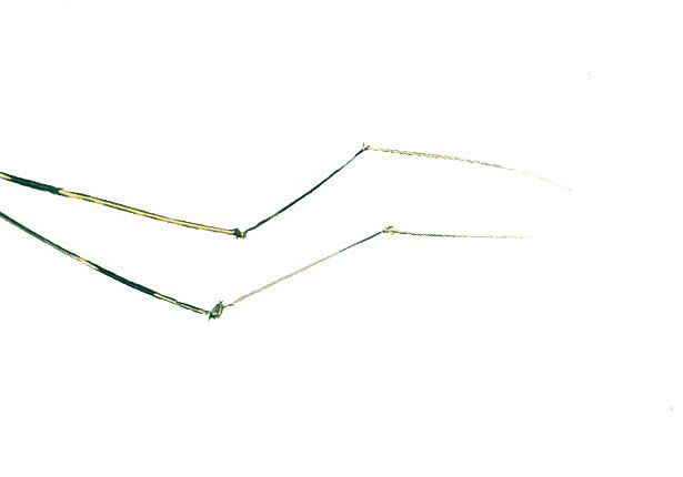 LEGS DADDY LONG LEGS FLY TYING MATERIAL