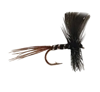 MAYFLY BLACK DRAKE MAYFLY