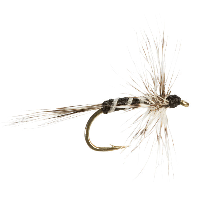 MIDGE FLY MOSQUITO