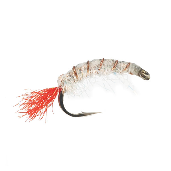 MULLETT FLY MULLET SHRIMP PEARL