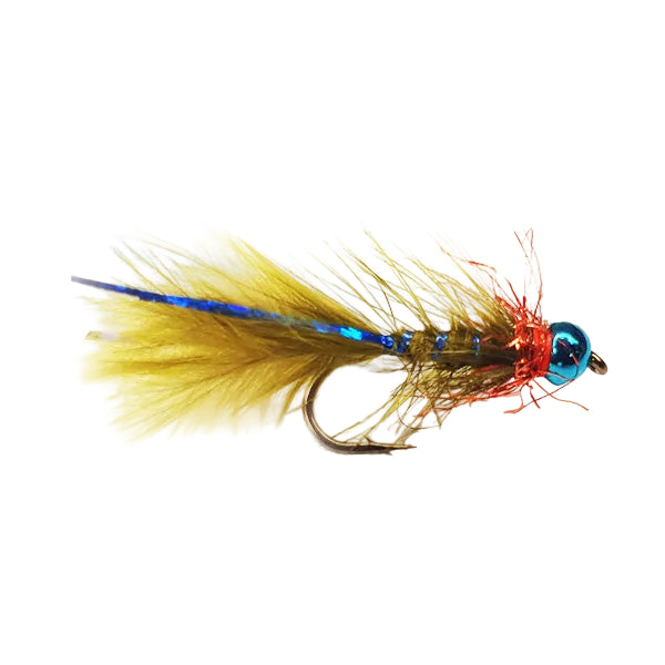 DAMSEL FLY BLUE RAY DAMSEL BLUE HEAD