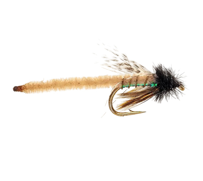STANDARD NYMPH FLY CADDIS POOPAH TAN