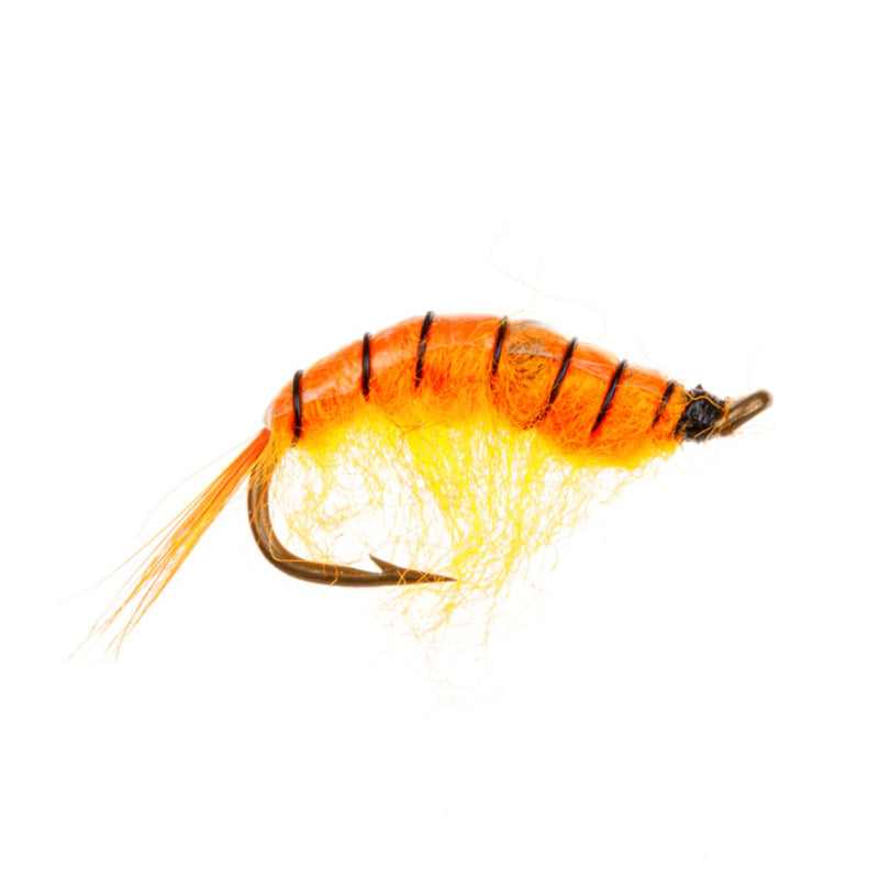 STANDARD NYMPH FLY MIDWEIGHT SCUD HOT ORANGE