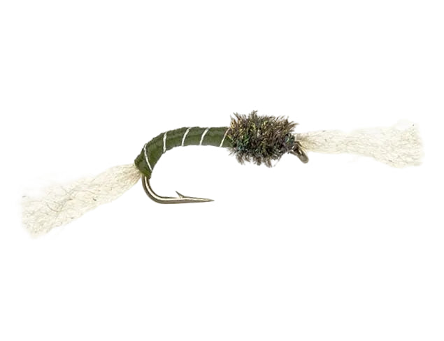 STANDARD NYMPH FLY OLIVE BUZZER