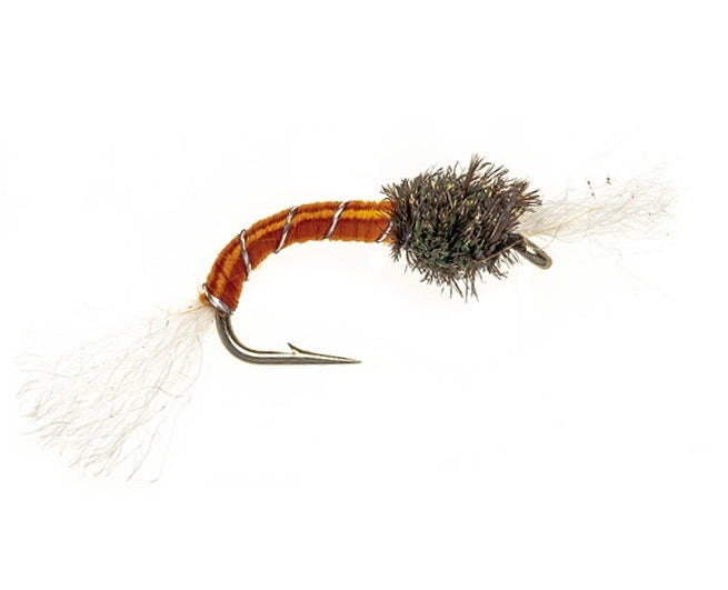 STANDARD NYMPH FLY ORANGE BUZZER