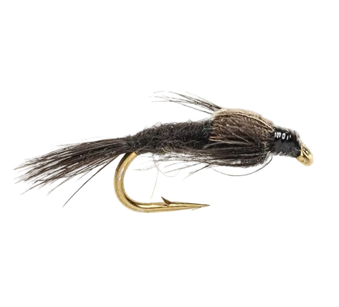 STANDARD NYMPH FLY BLACK GNAT NYMPH