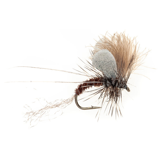 SPECIAL DRY FLY ETHAFOAM WING EMERGER PHEASANT TAIL
