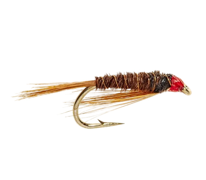 SLIM LINE NYMPH FLY DIAWL BACH FLASHBACK PHEASANT TAIL