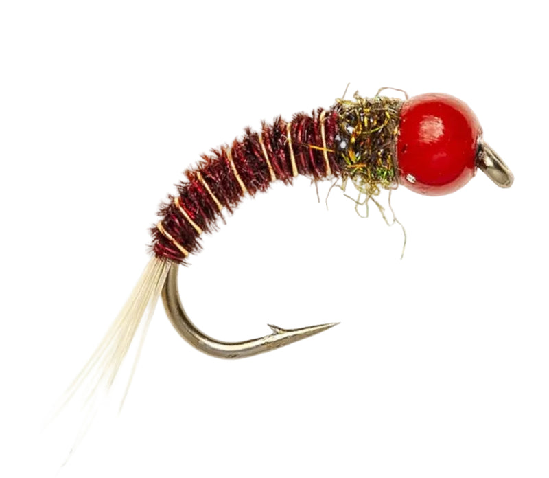 TUNGSTEN NYMPH FLY TUNGSTEN CZECH PHEASANT RED HEAD