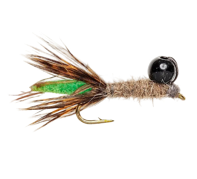 TUNGSTEN NYMPH FLY TUNGSTEN PEEPING CADDIS GREEN BUTT