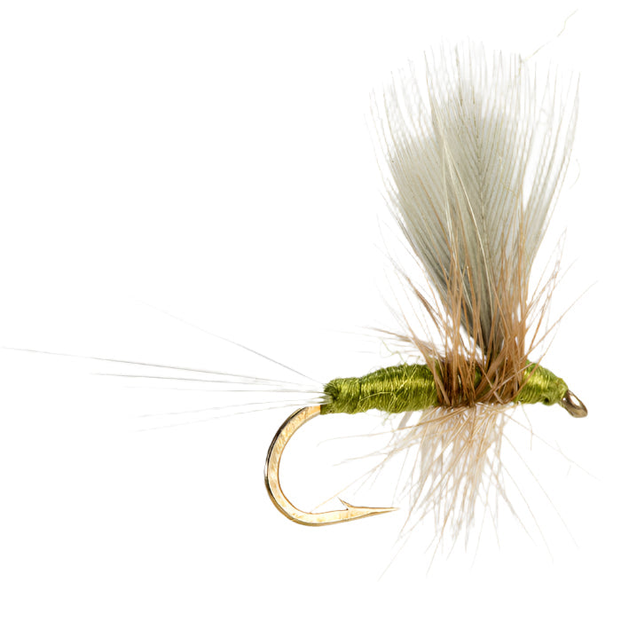 SPECIAL DRY FLY BLUE WINGED OLIVE