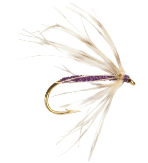 WET HACKLED FLY SNIPE & PURPLE